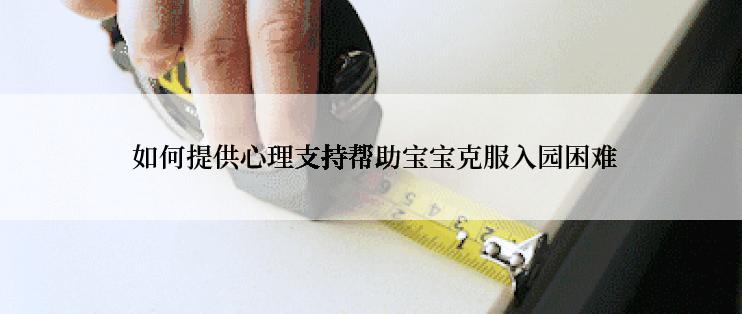  如何提供心理支持帮助宝宝克服入园困难