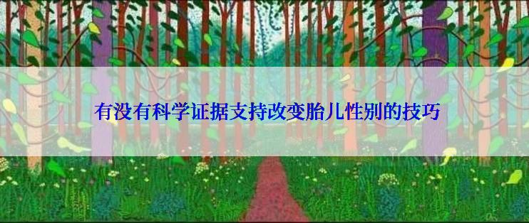  有没有科学证据支持改变胎儿性别的技巧