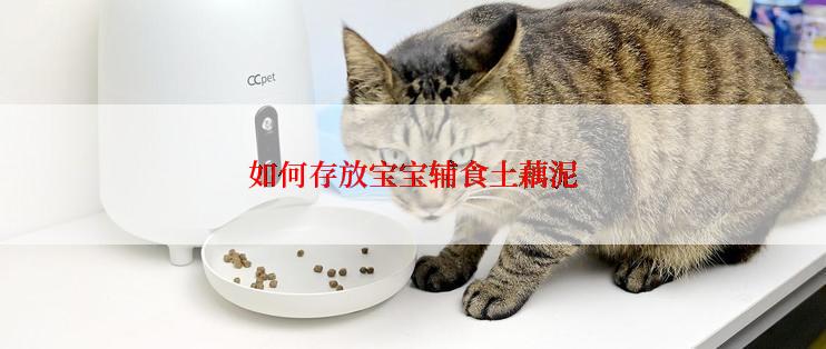 如何存放宝宝辅食土藕泥