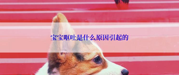 宝宝呕吐是什么原因引起的