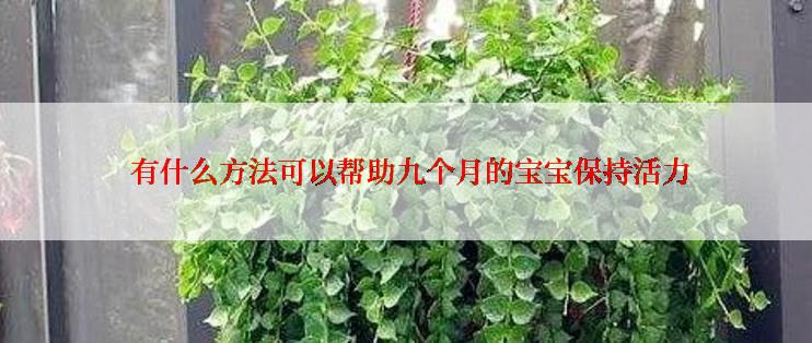  有什么方法可以帮助九个月的宝宝保持活力