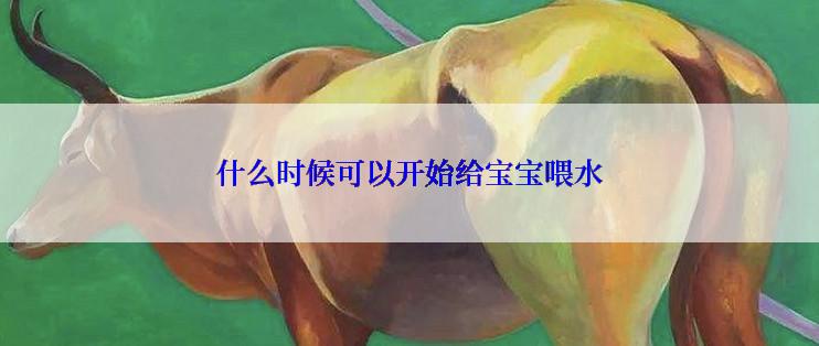 什么时候可以开始给宝宝喂水