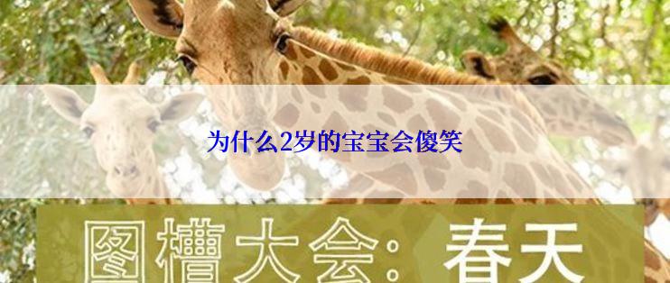 为什么2岁的宝宝会傻笑