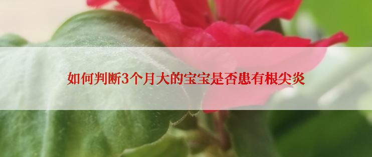 如何判断3个月大的宝宝是否患有根尖炎