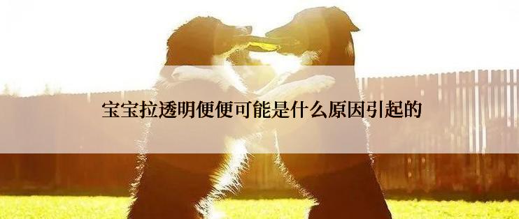  宝宝拉透明便便可能是什么原因引起的