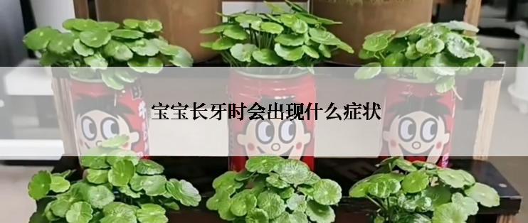  宝宝长牙时会出现什么症状