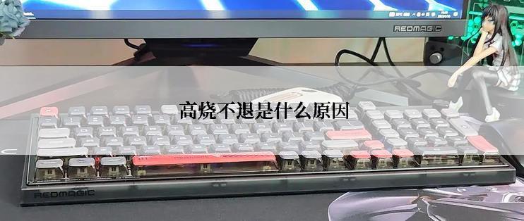  高烧不退是什么原因