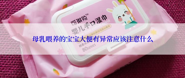 母乳喂养的宝宝大便有异常应该注意什么