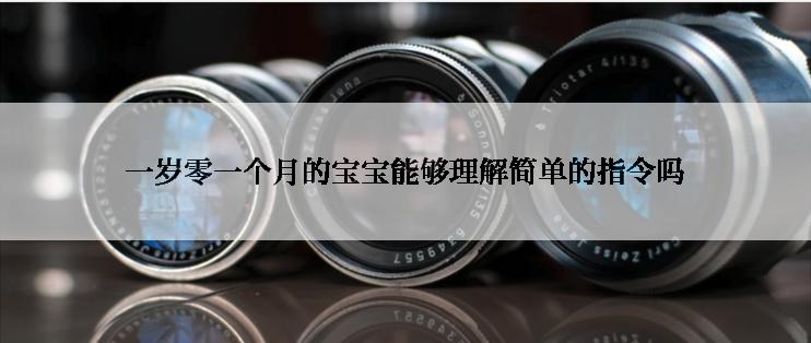 一岁零一个月的宝宝能够理解简单的指令吗