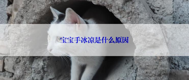 宝宝手冰凉是什么原因