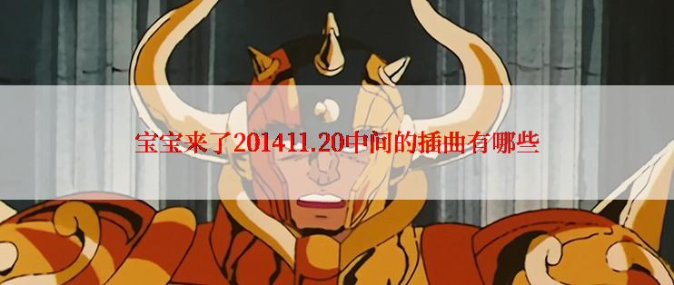 宝宝来了201411.20中间的插曲有哪些