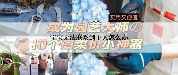 宝宝无法联系到主人怎么办