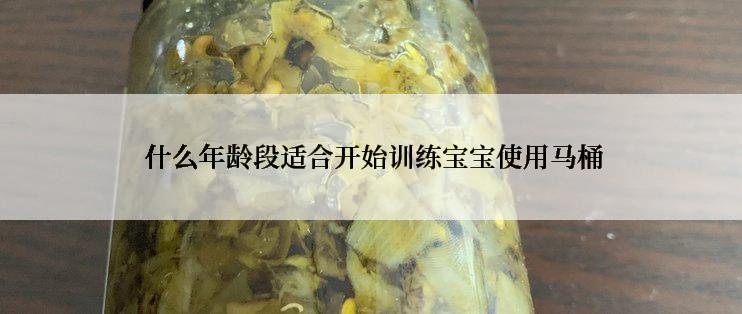  什么年龄段适合开始训练宝宝使用马桶