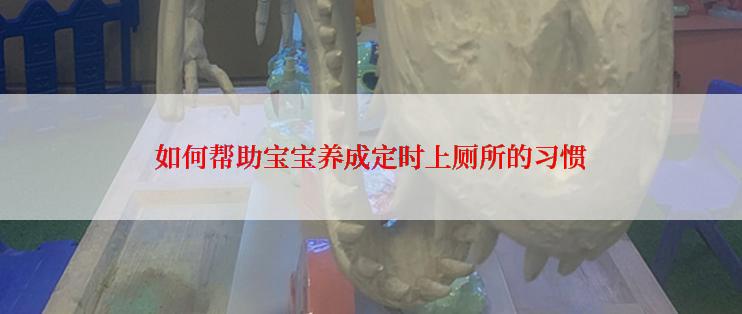 如何帮助宝宝养成定时上厕所的习惯