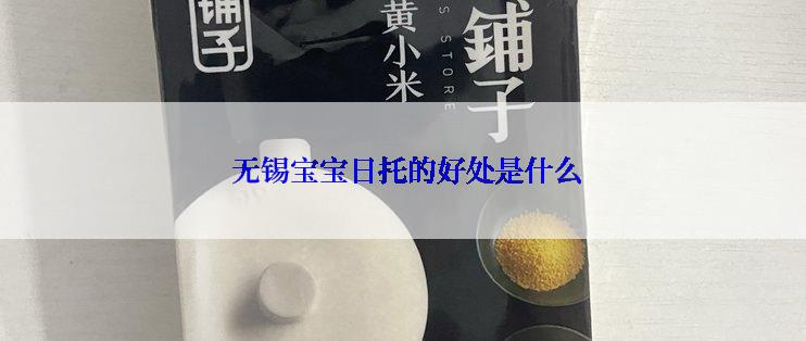  无锡宝宝日托的好处是什么