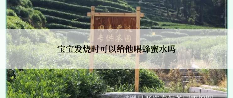 宝宝发烧时可以给他喂蜂蜜水吗