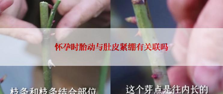 怀孕时胎动与肚皮紧绷有关联吗