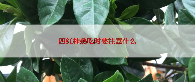 西红柿熟吃时要注意什么