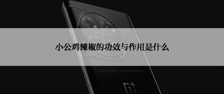 小公鸡辣椒的功效与作用是什么