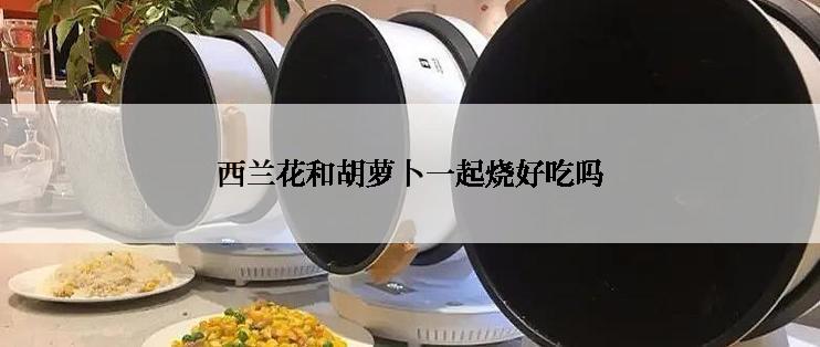 西兰花和胡萝卜一起烧好吃吗