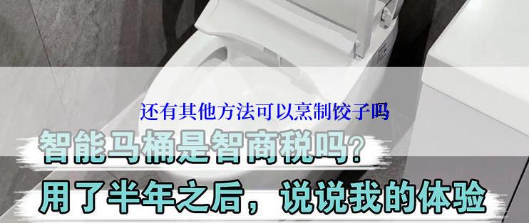 还有其他方法可以烹制饺子吗