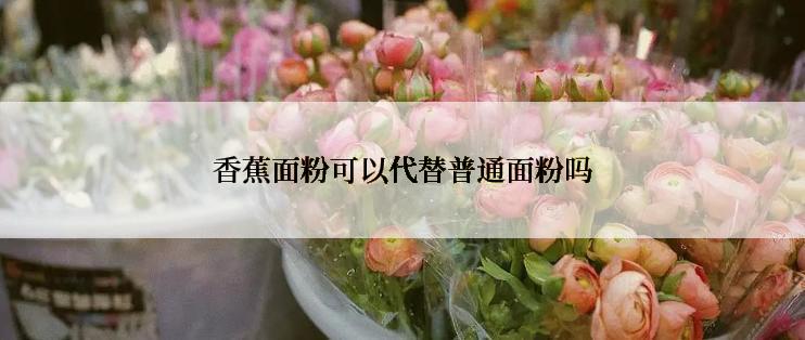 香蕉面粉可以代替普通面粉吗