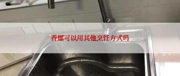 香螺可以用其他烹饪方式吗