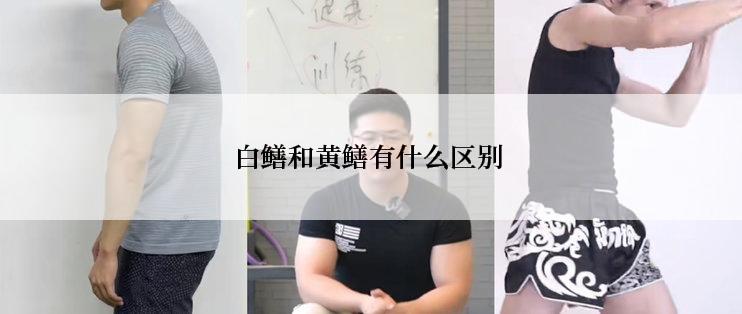 白鳝和黄鳝有什么区别