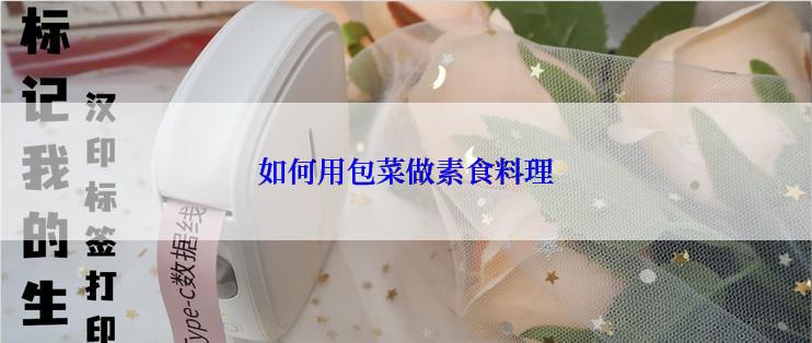 如何用包菜做素食料理