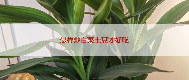 怎样炒白菜土豆才好吃