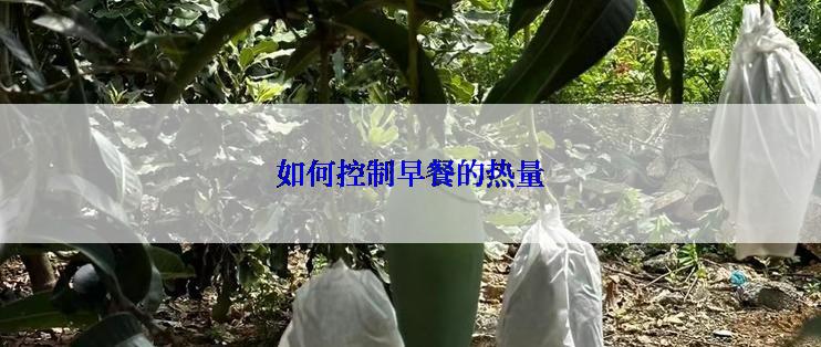 如何控制早餐的热量