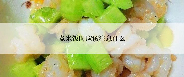 煮米饭时应该注意什么