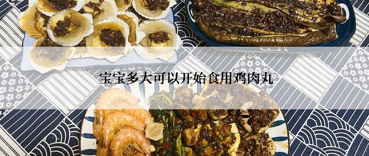  宝宝多大可以开始食用鸡肉丸