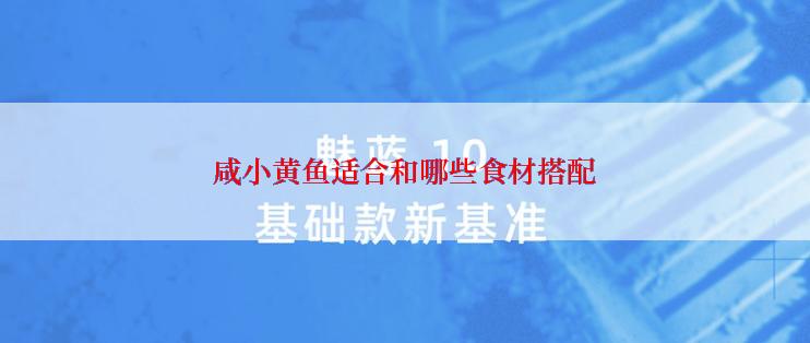 咸小黄鱼适合和哪些食材搭配