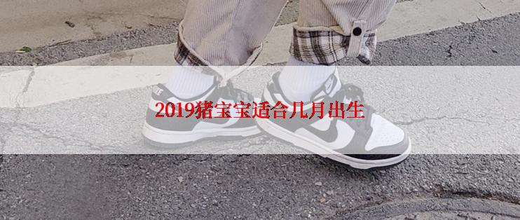 2019猪宝宝适合几月出生