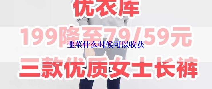 韭菜什么时候可以收获