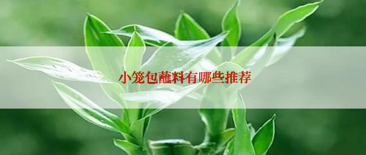  小笼包蘸料有哪些推荐