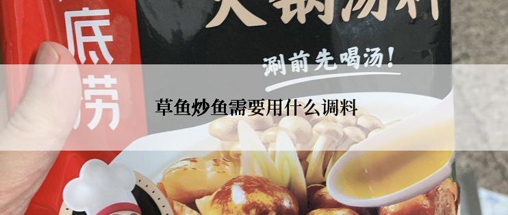  草鱼炒鱼需要用什么调料