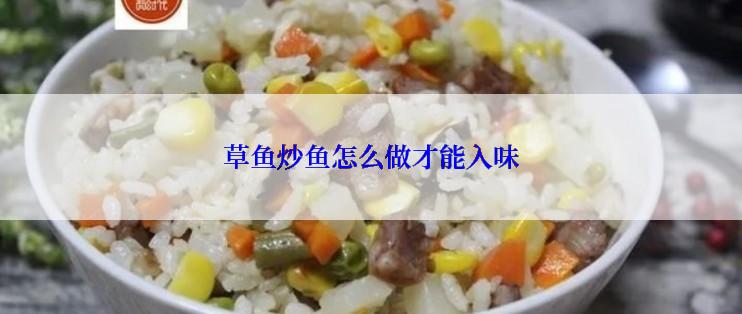 草鱼炒鱼怎么做才能入味