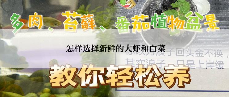  怎样选择新鲜的大虾和白菜