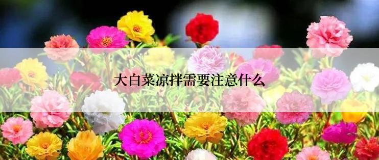 大白菜凉拌需要注意什么