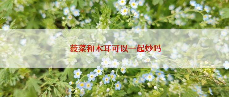  菠菜和木耳可以一起炒吗