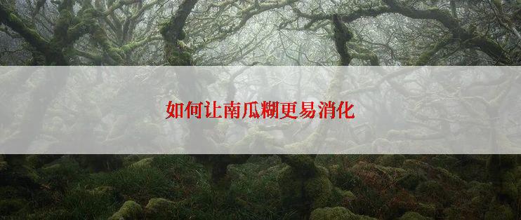 如何让南瓜糊更易消化