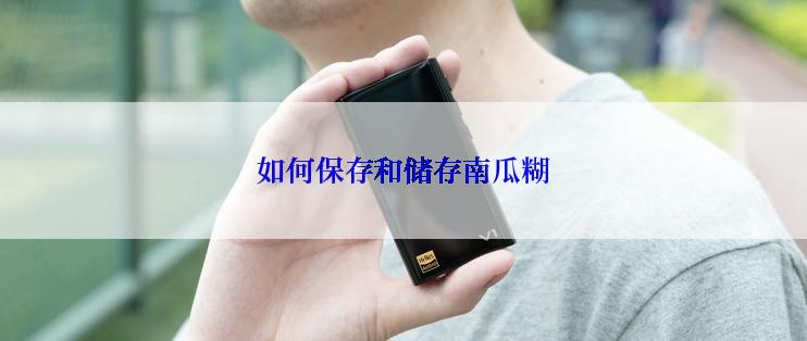 如何保存和储存南瓜糊