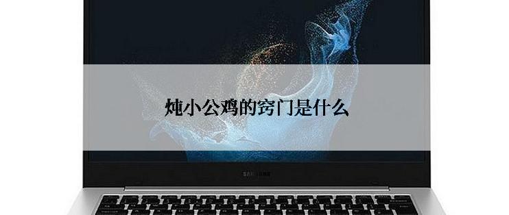  炖小公鸡的窍门是什么