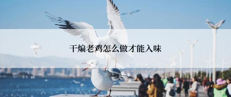 干煸老鸡怎么做才能入味