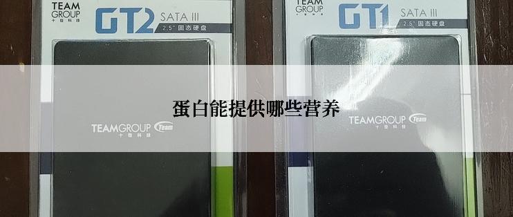 蛋白能提供哪些营养