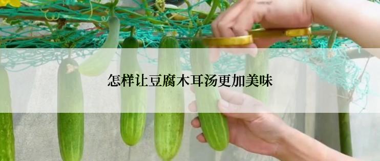 怎样让豆腐木耳汤更加美味