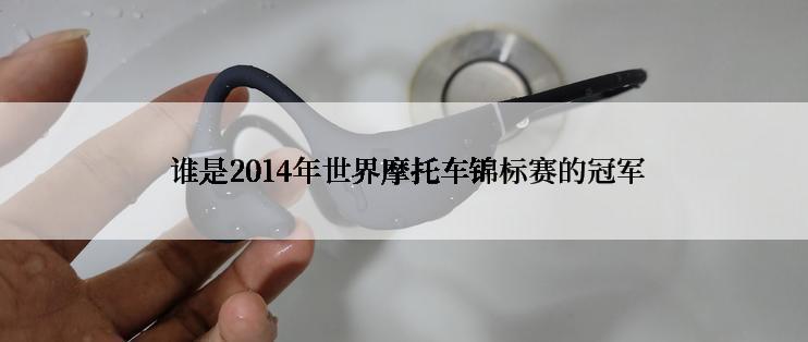  谁是2014年世界摩托车锦标赛的冠军