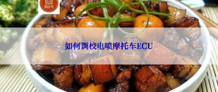 如何调校电喷摩托车ECU